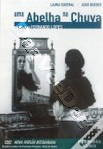 A Bee in the Rain (DVD)